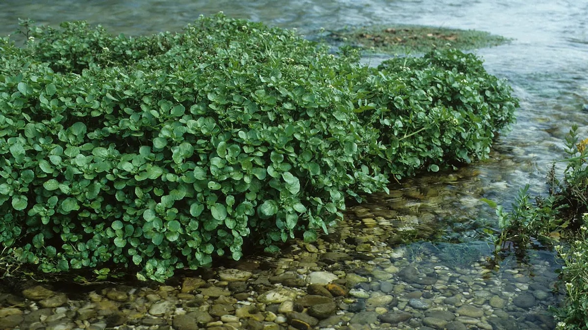 S 34Abd82B0740Cd3Ebbf615C3C8E70Bcad016D819