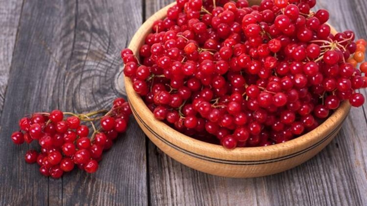 S D6F6Bac4C3D6Edd98Cdf453F5A0E1Bda968A6Dc4