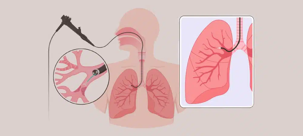 Shutterstock 2247458695.Jpg