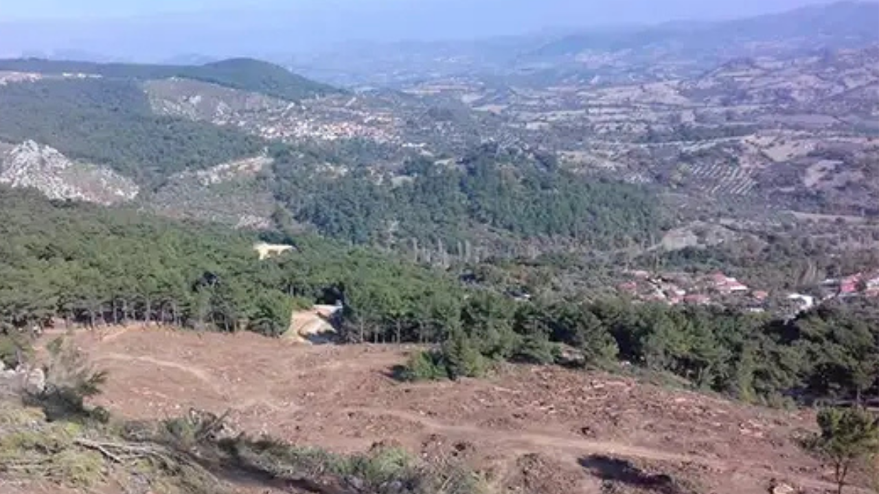 Tırmanlarköyü Tasarım