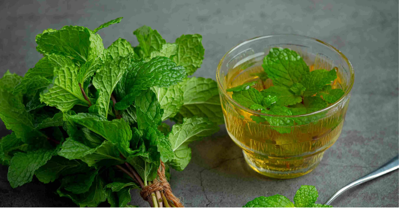 Adsız Tasarım (44)-2