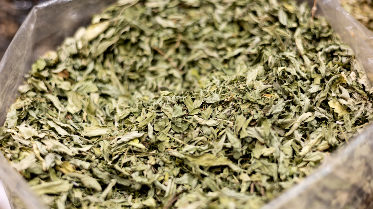 Adsız Tasarım (45)-3