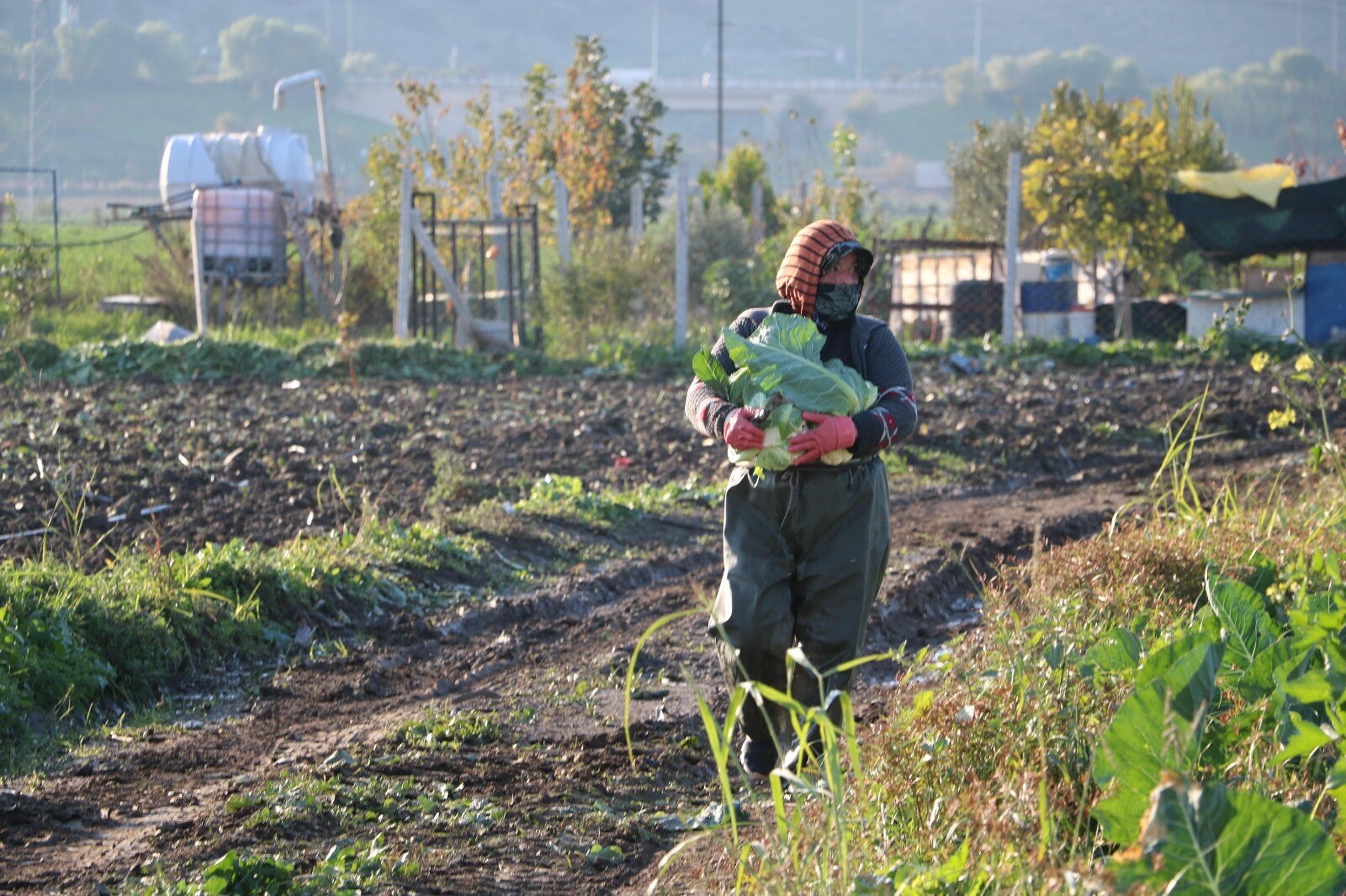 M E V S I M N O R M A L L E R I U Z E R I N D E K I S I C A K L I K K I 1047077 310718