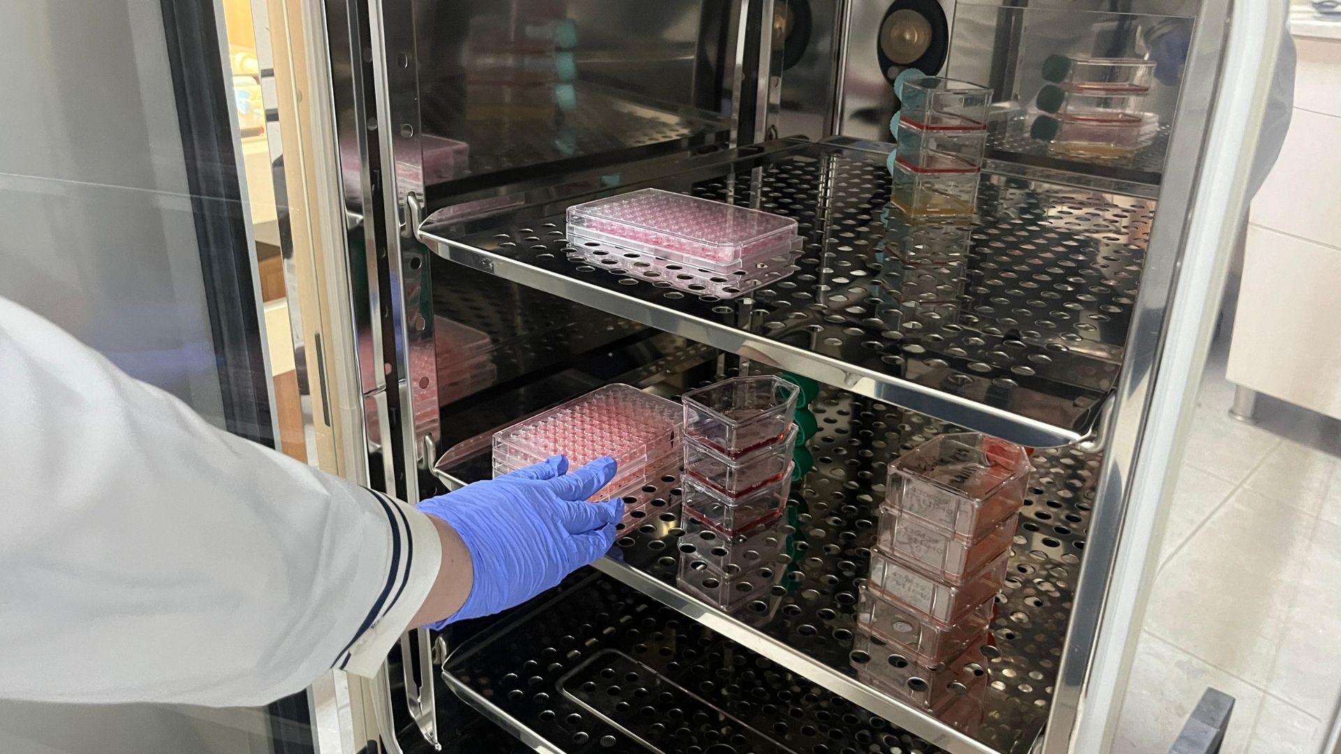 Parkinson Araştırmalarında Yeni Dönem (2)