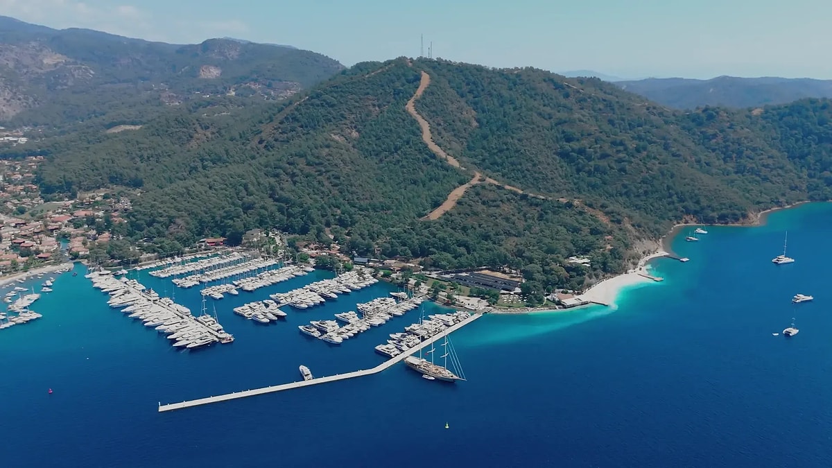 S A3093129F6Bb80Ec8564Ea89Ae30A88D2E8D0D2B