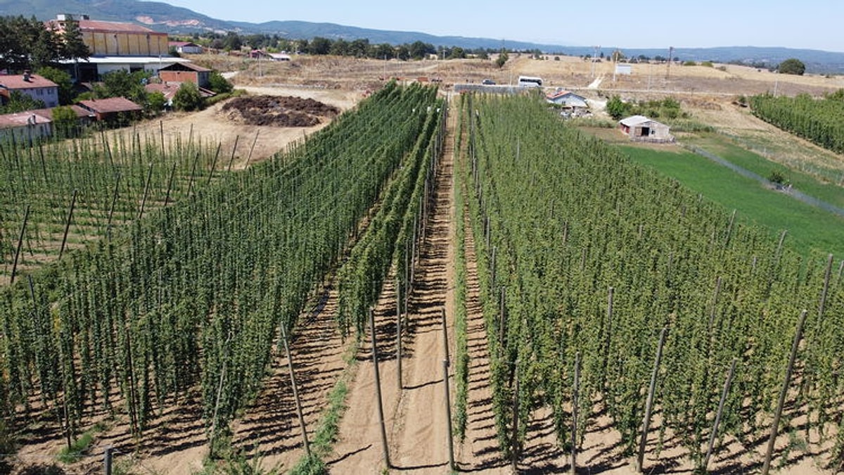 S B83985Ca7B10Cf0Aee2F70D4Ff877495Ba354B57