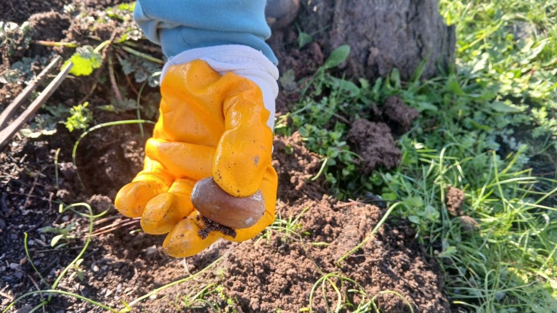 Urla’da Yanan Orman Yeniden Yeşeriyor Geleceğe Nefes Olacak Adım (2)