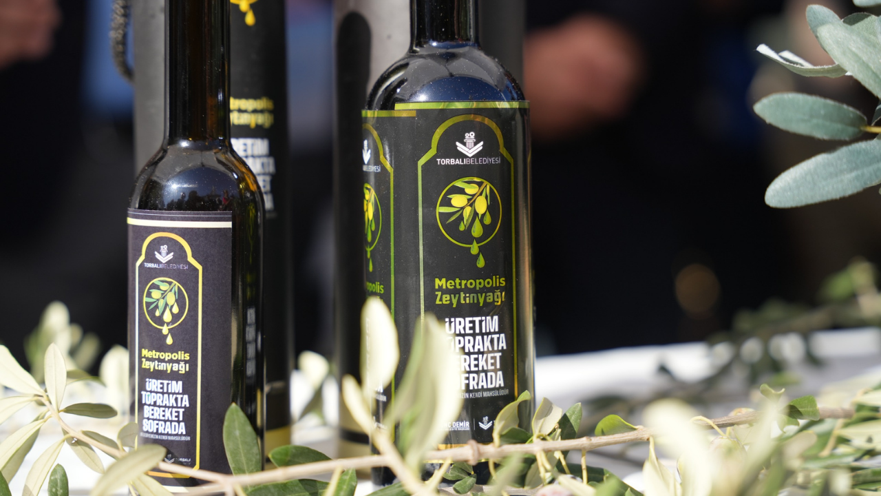zeytinyağı-14
