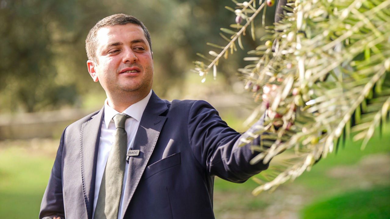 zeytinyağı torbalı