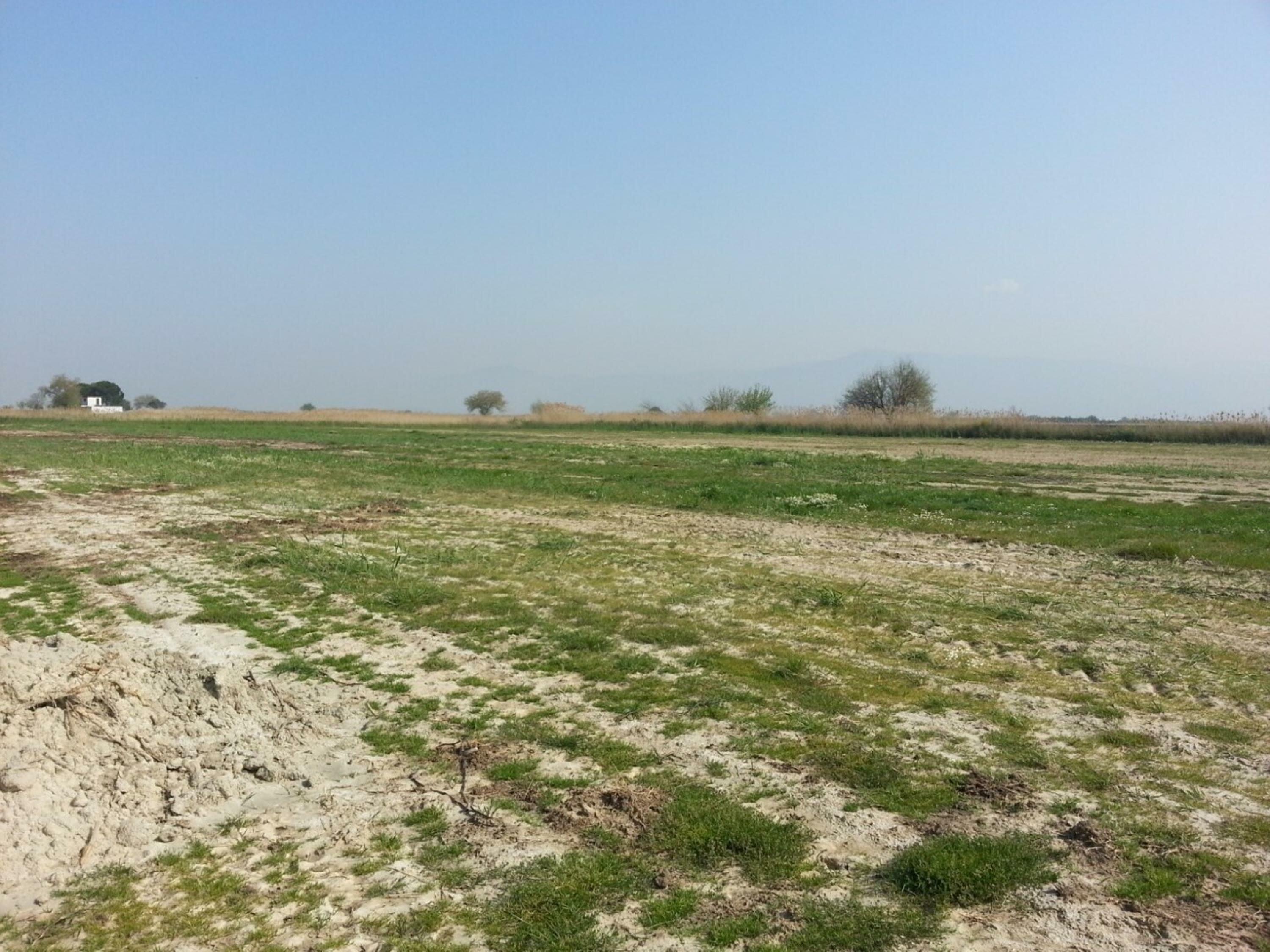 D O G R U Y O N E T E M E Z S E K K U L L A N A B I L E C E K S U Y U M 1112335 330194