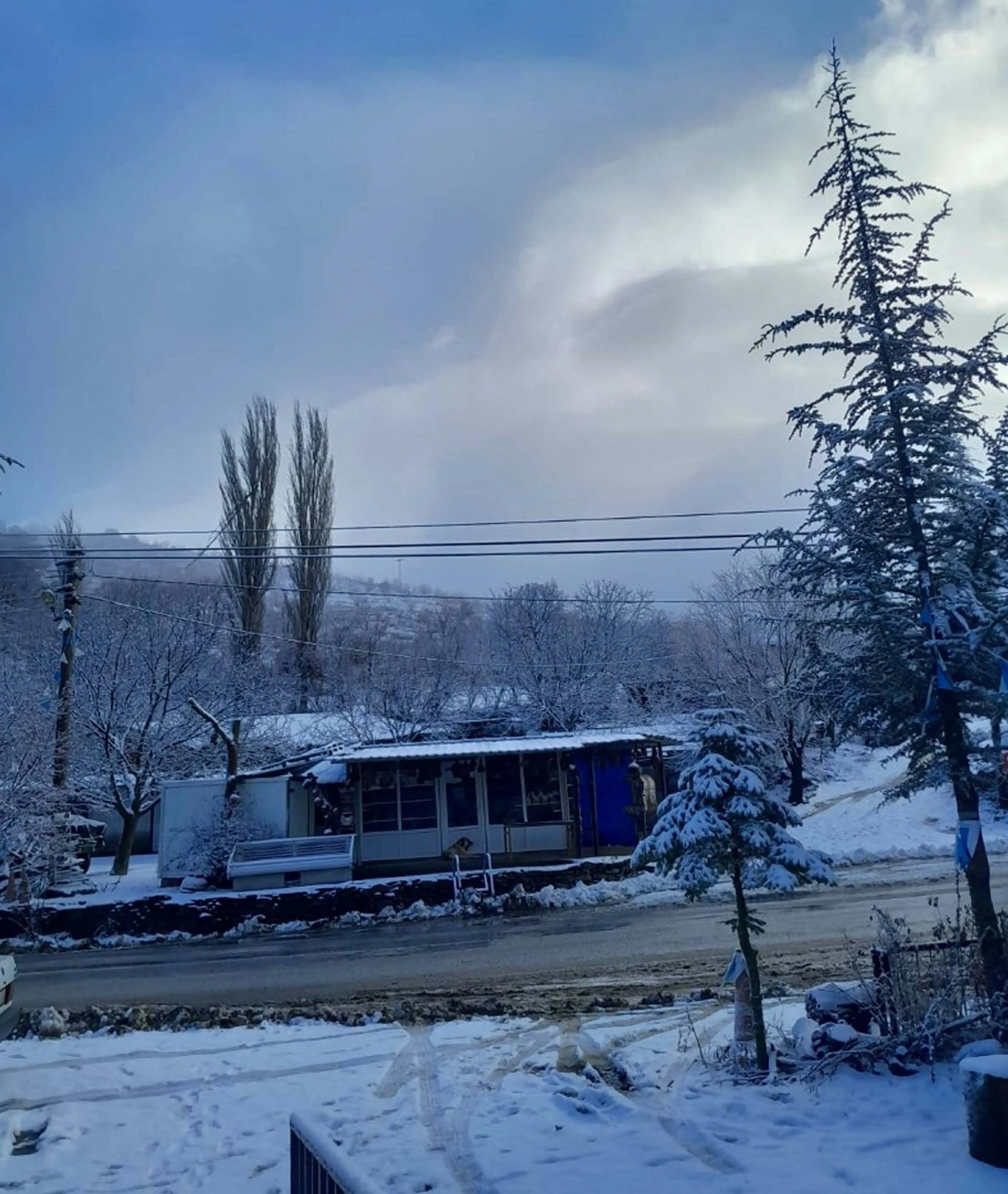 G O L C U K V E B O Z D A G Y A Y L A L A R I B E Y A Z O R T U Y L E 1112937 330391