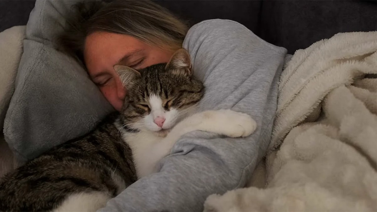 Kedi-10