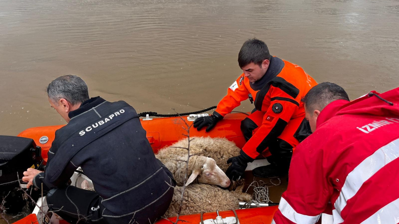 Adsız Tasarım 2026 02 13T164750.136