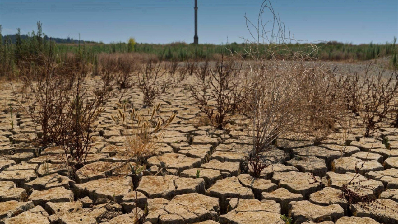 Kuraklık-3