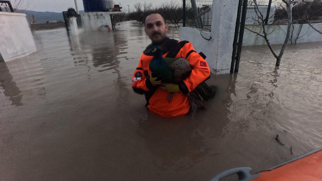 İzmir’de İtfaiye Sel Altındaki Tavuk Çiftliğini Kurtardı-1