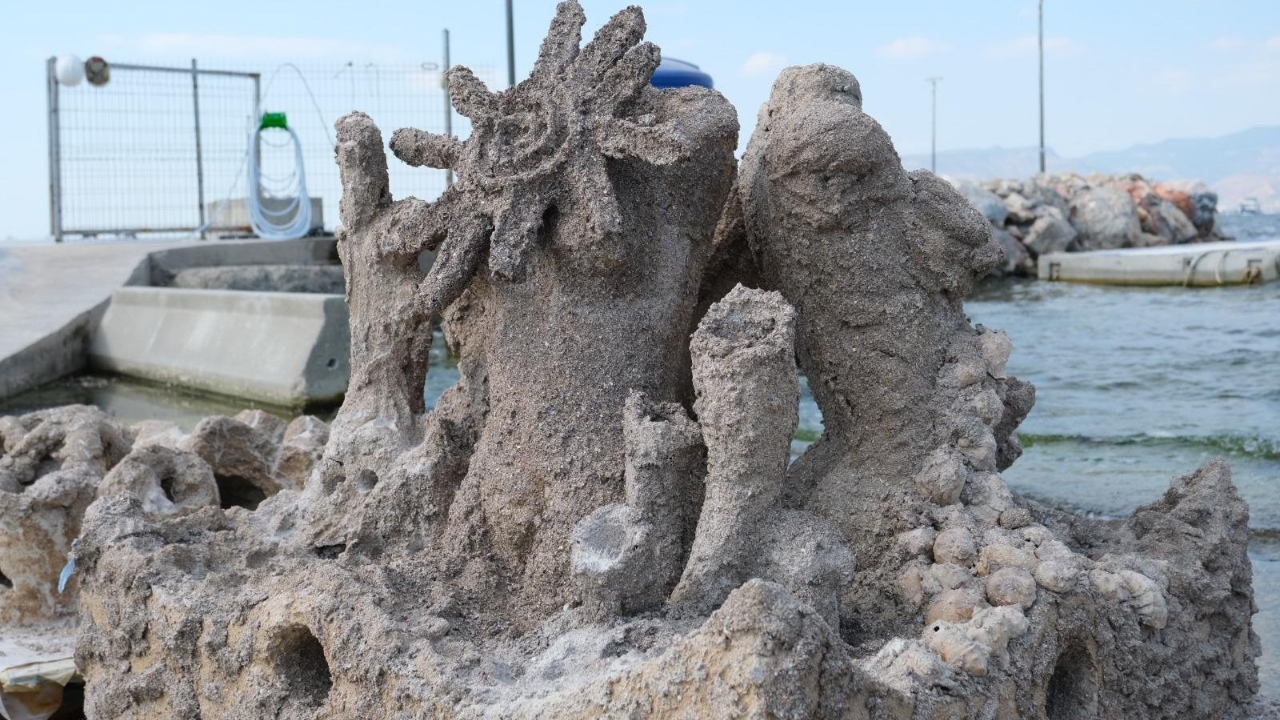 Atık midye kabuklarıyla deniz canlanacak-2