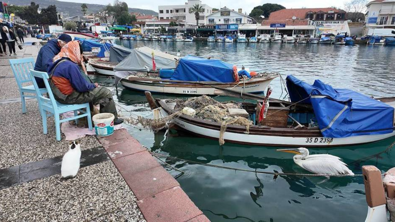 FOÇA YEREL BALIK FESTİVALİ BAŞLADI-2