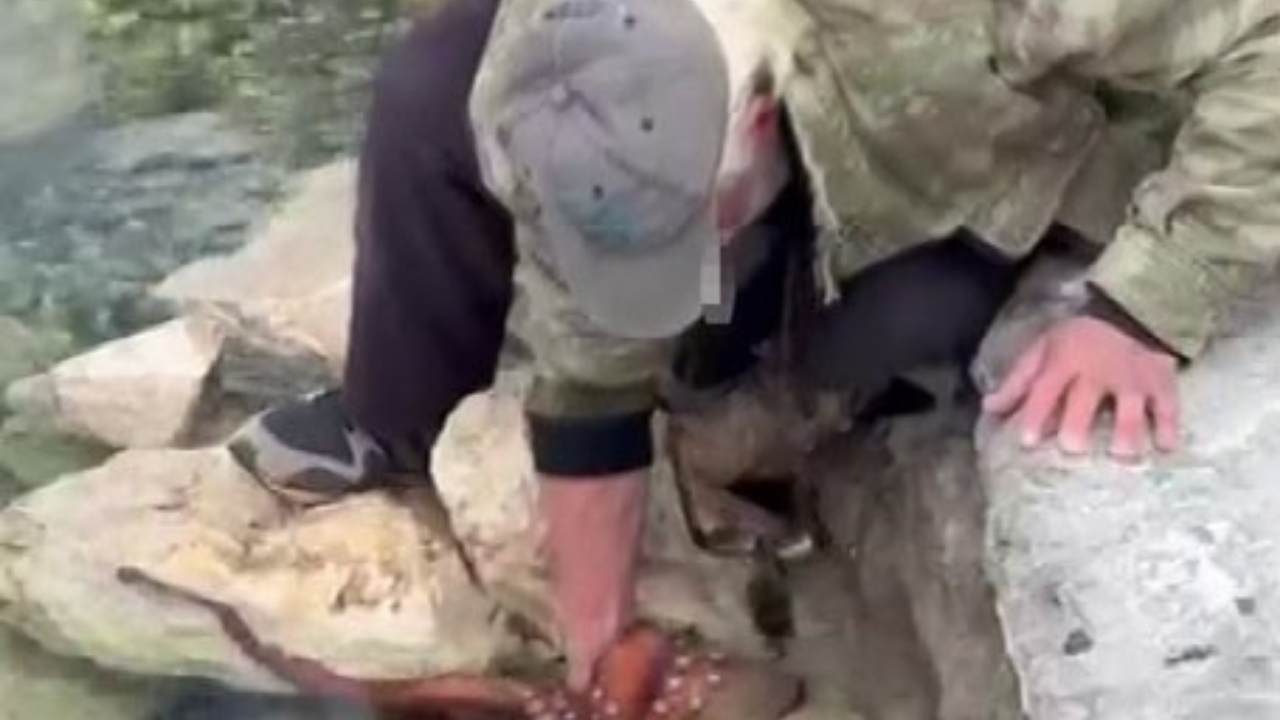 Karaburun’da Balıkçı, Kayalıklardan Ahtapotu Ellerle Çıkardı-1