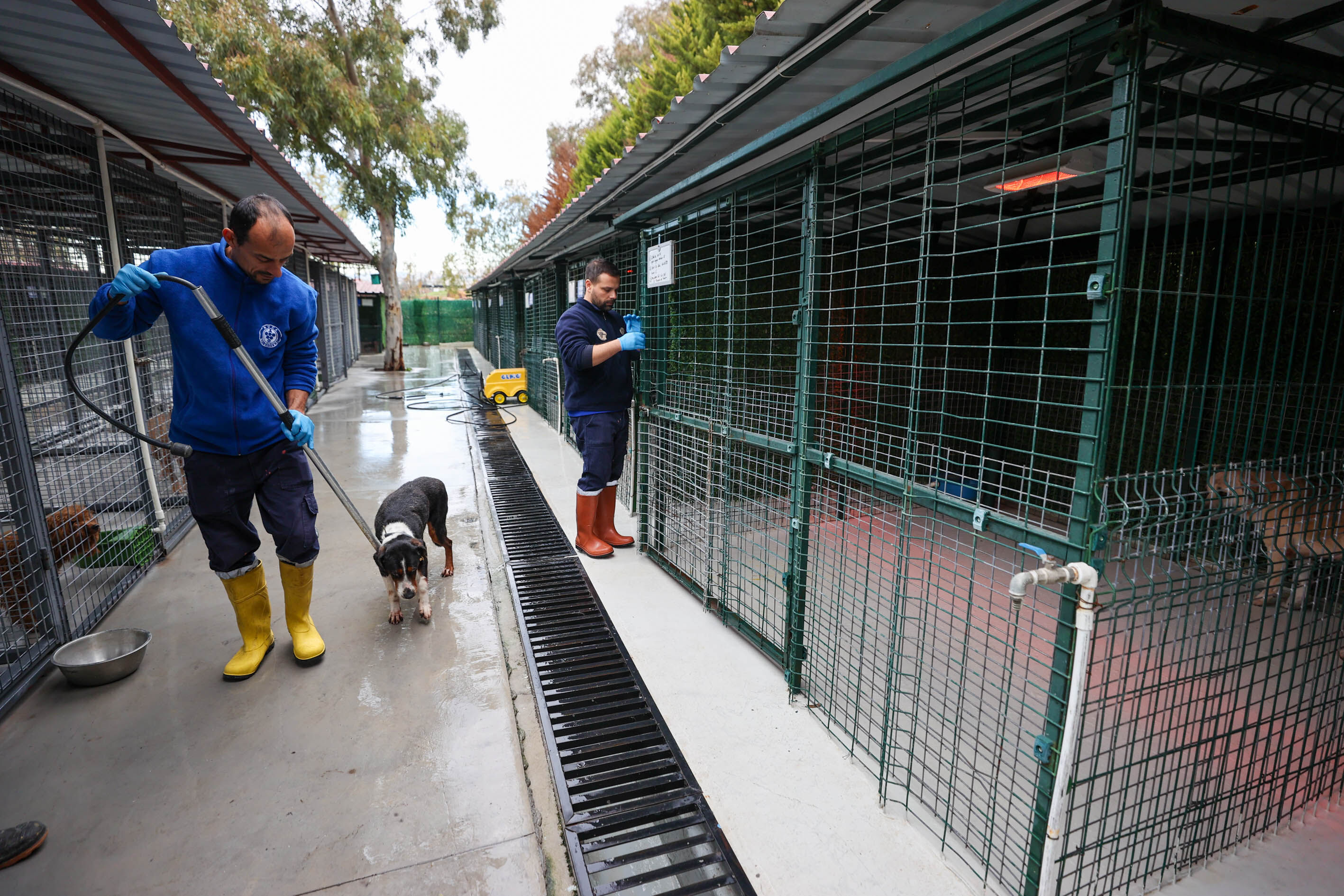 Buca Veteriner Temizlik4