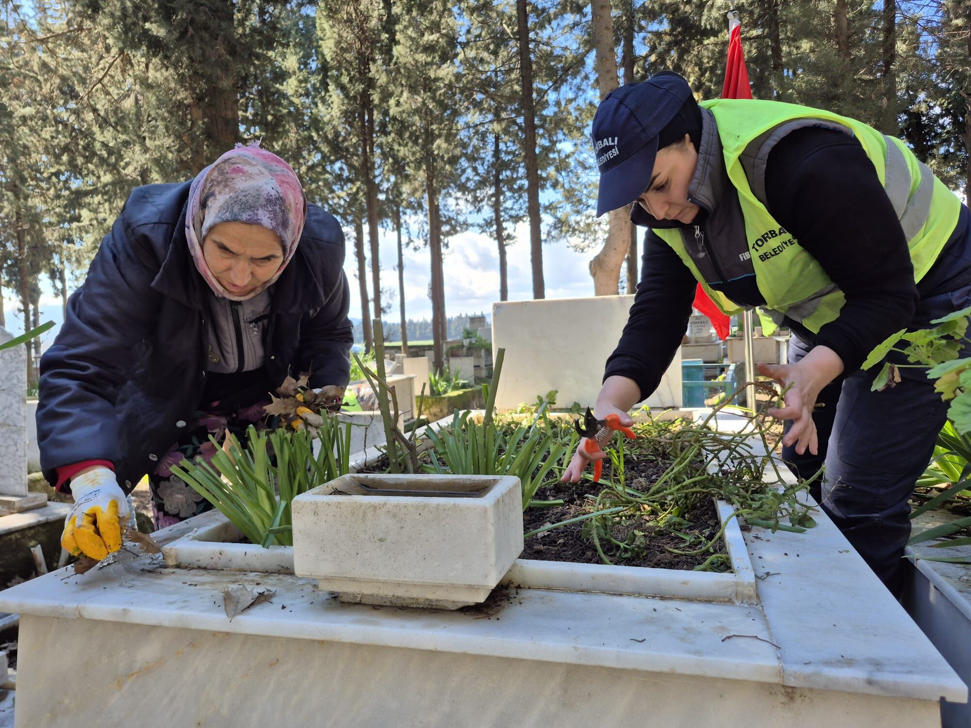 E4B3107B E8E5 4D81 8De3 A5D3F153Cdac