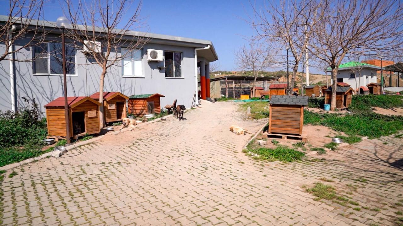 I M G 20260316 W A0007