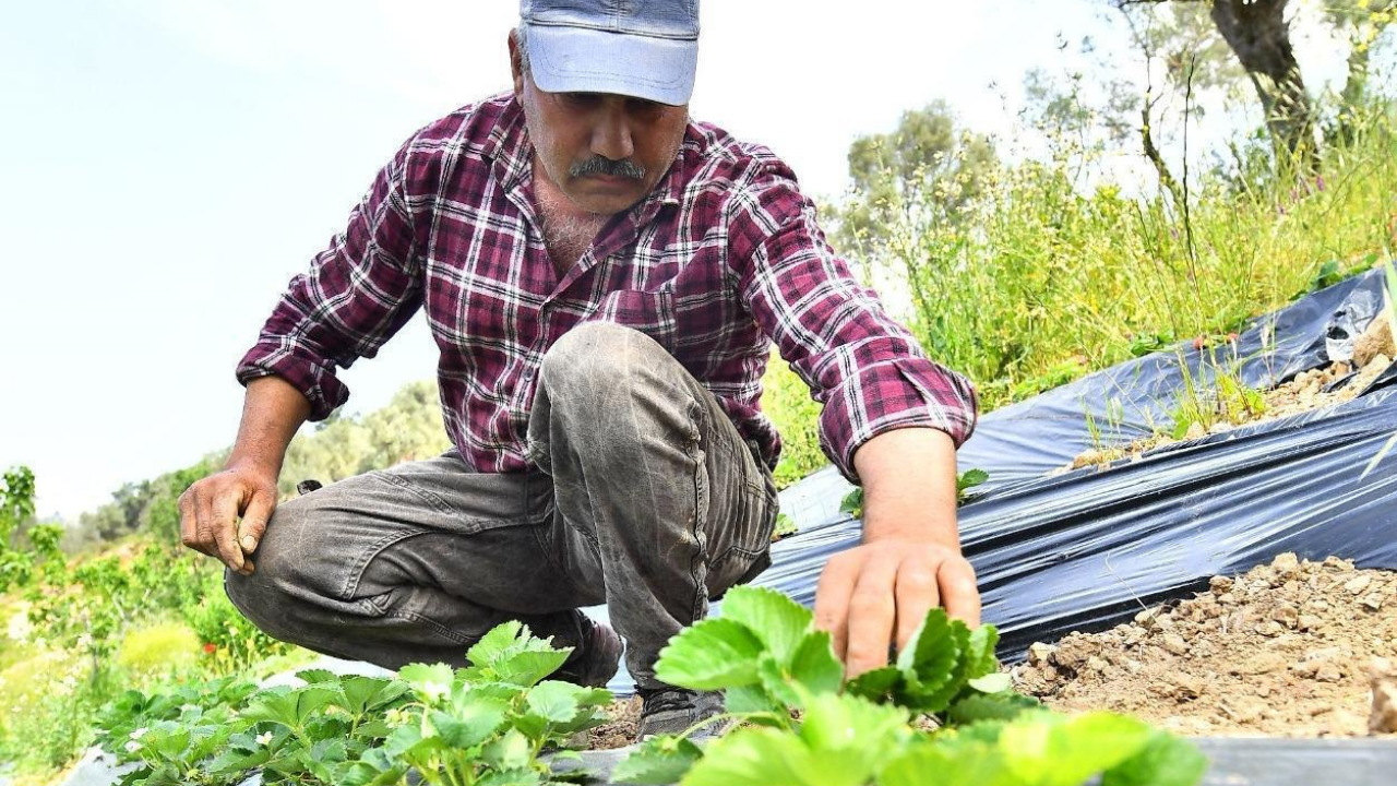 Köylüye Can Suyu Destek 1,4 Milyara Çıktı2