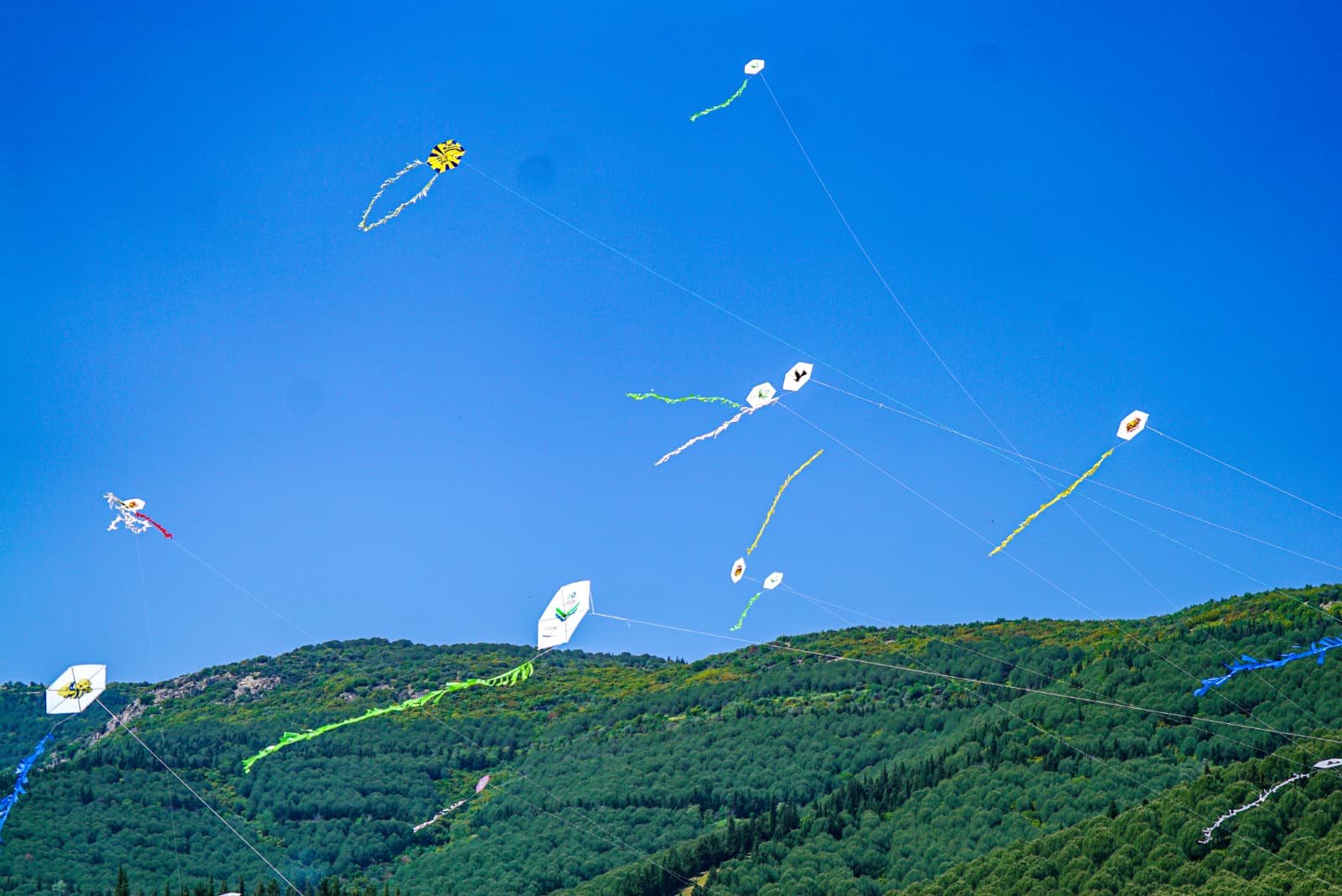 71A3A272 3D08 4543 Ae8D 6507556C95Fb