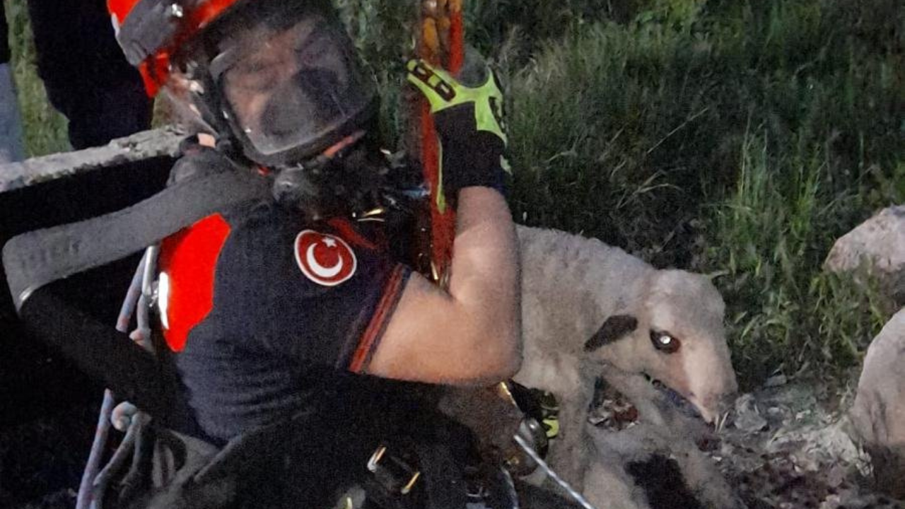 Kuyuya düşen kuzuya itfaiyeden zamanla yarışan kurtarma