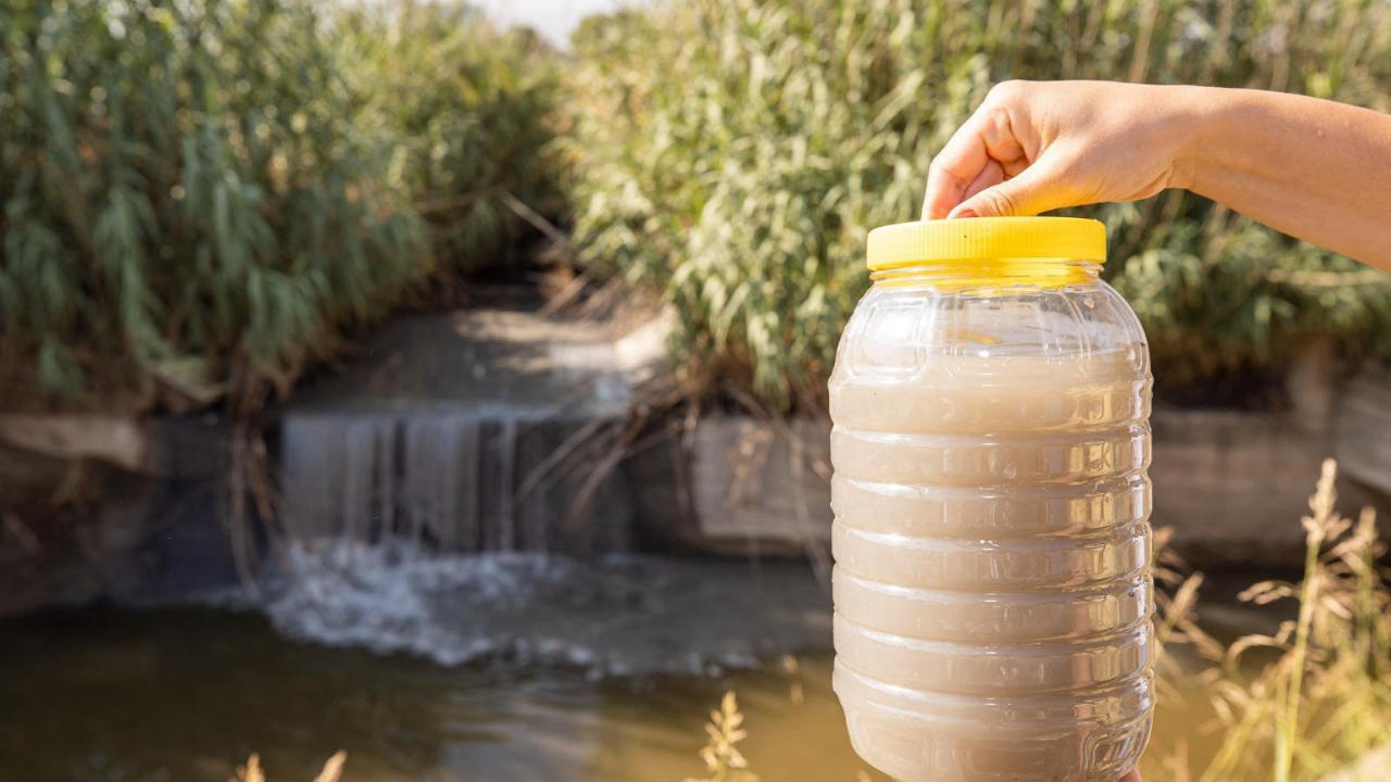 Gediz Havzası’nda kirlilik artıyor-2