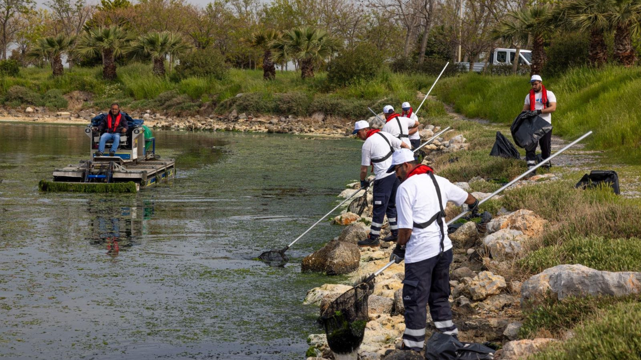 Körfez’de “deniz marulu” alarmı: Kaynak Gediz Havzası-2