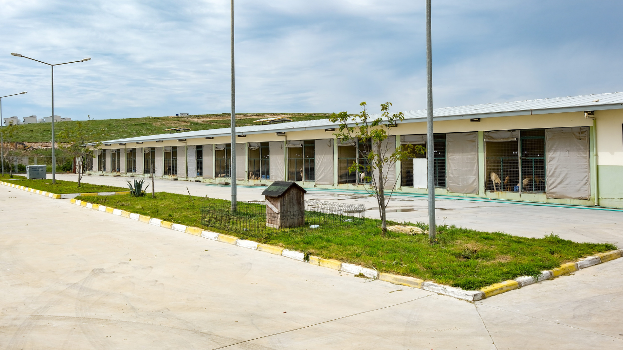 Can Dostlar Için Menemen'de Rekor Tedavi Sayısına Ulaşıldı2