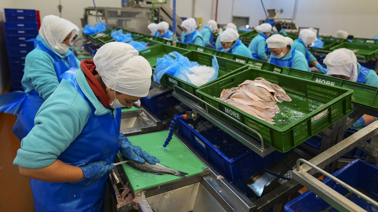 Ege’den Dünya Pazarına1