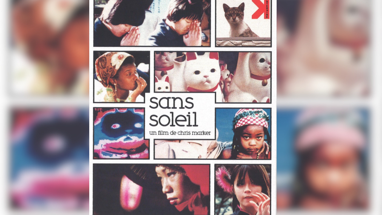 Hafızanın Coğrafyasına Bir Bakış Güneşsiz