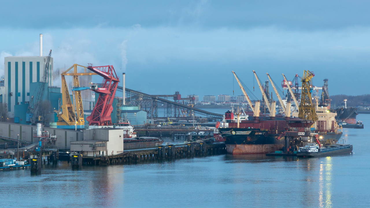 Ege ihracatı 6,4 milyar doları aştı: Lider açık ara farkla İzmir oldu