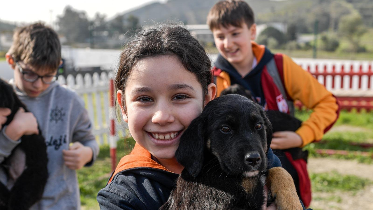 İzmir’de 3 binin üzerinde hayvan sahiplendirildi: Satın alma, sahiplen çağrısı yinelendi-3