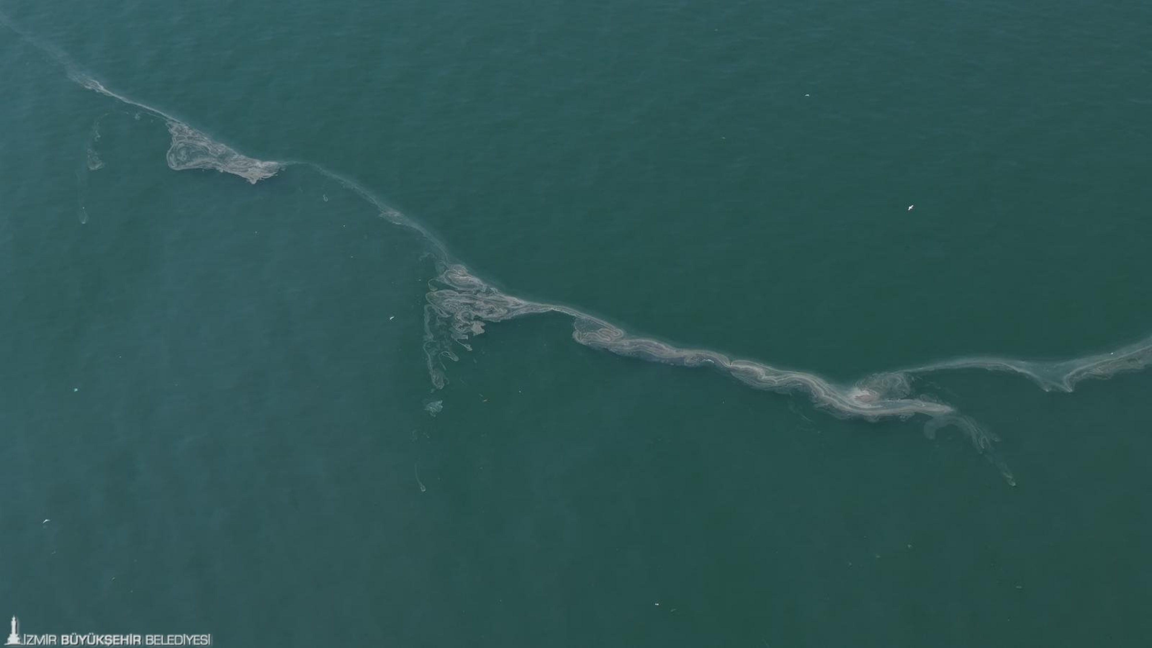 İzmir Körfezi'nde 12'nci kez dış kaynaklı kirlilik tespit edildi