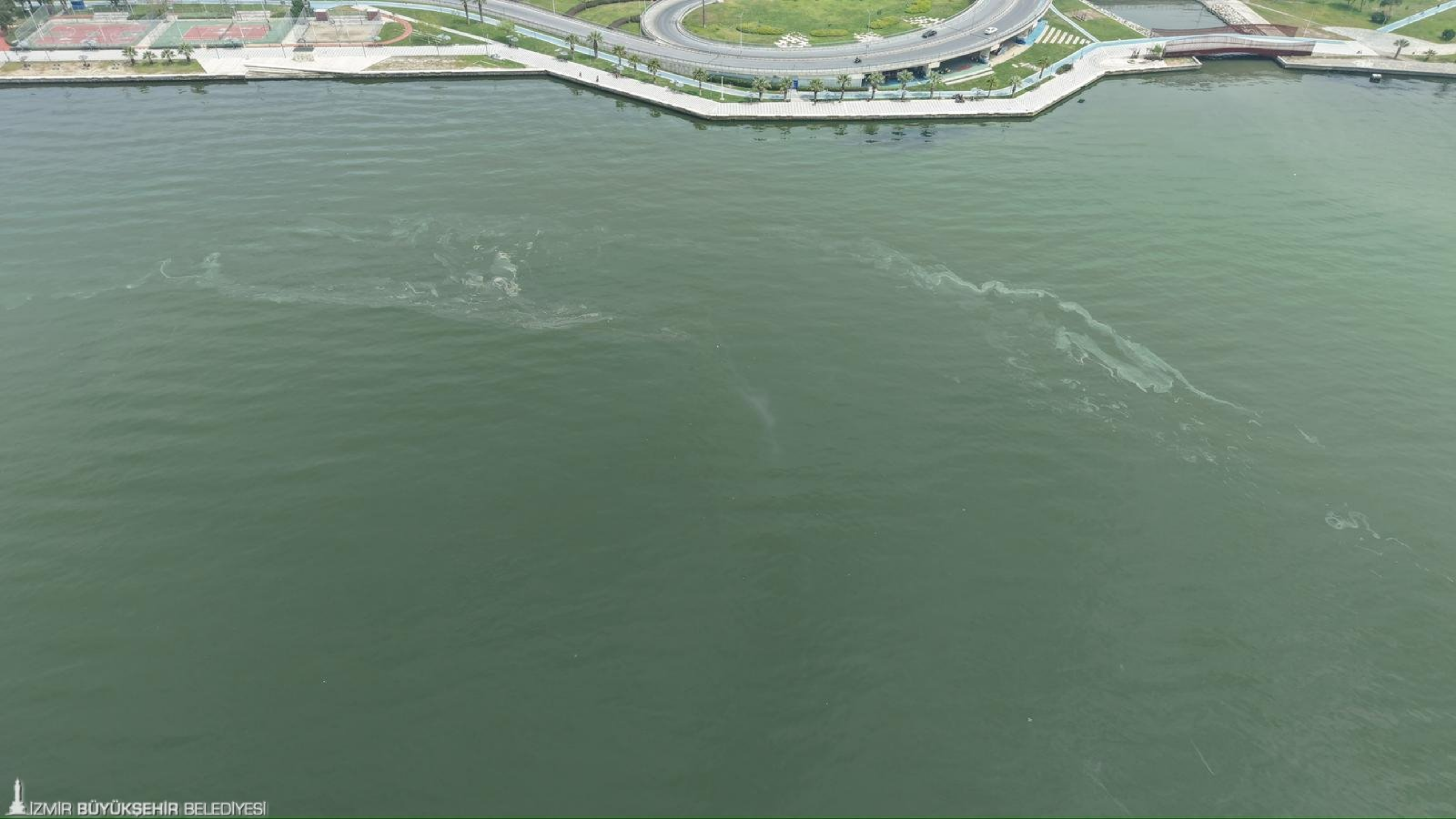 Izbb Körfez Kirlilik