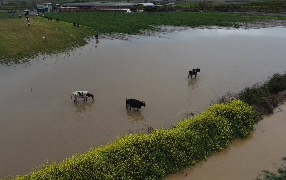 Izmirin Odemis Ilcesini Saganak Vurdu Saganak Nedeniyle Tarim Arazileri Ve Kara Yolu Su Altinda Kaldi 3 69D0F333Df76E