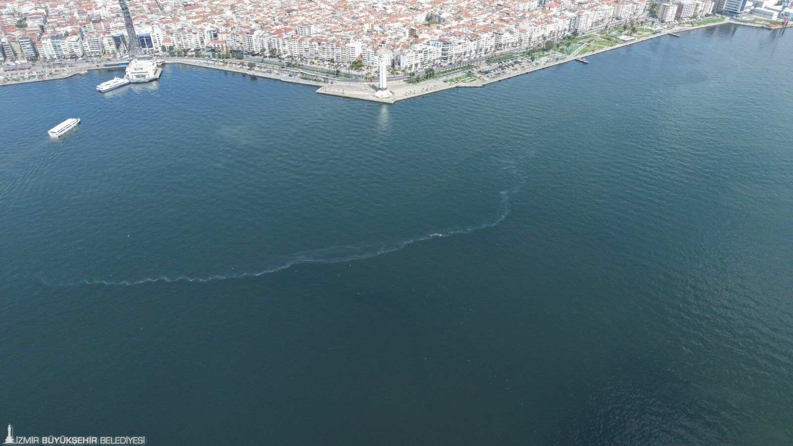 İzmir Körfezi için "ortak akıl" seferberliği: Kim, ne yapmalı?