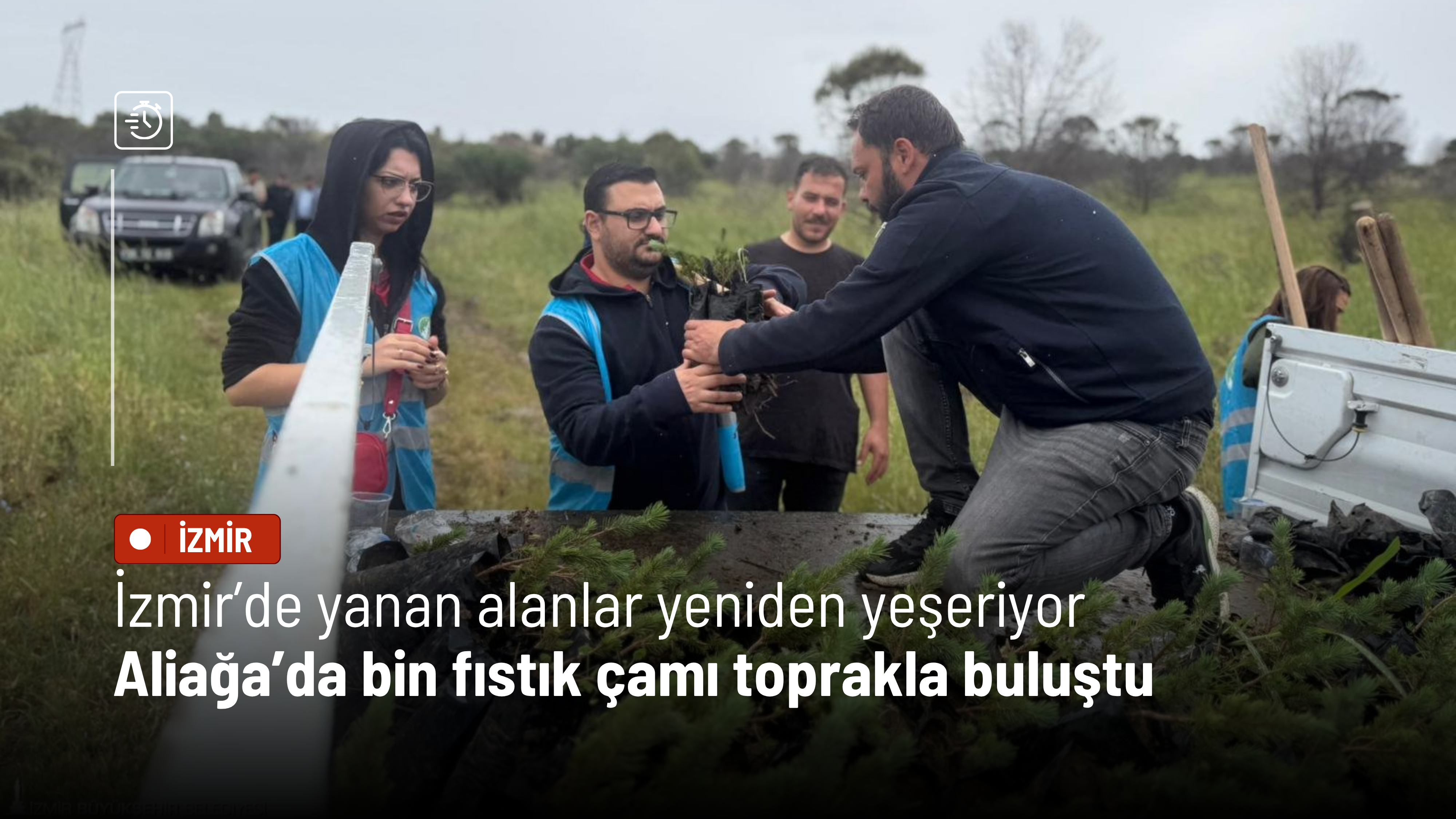 İzmir’de yanan alanlar yeniden yeşeriyor: Aliağa’da bin fıstık çamı toprakla buluştu