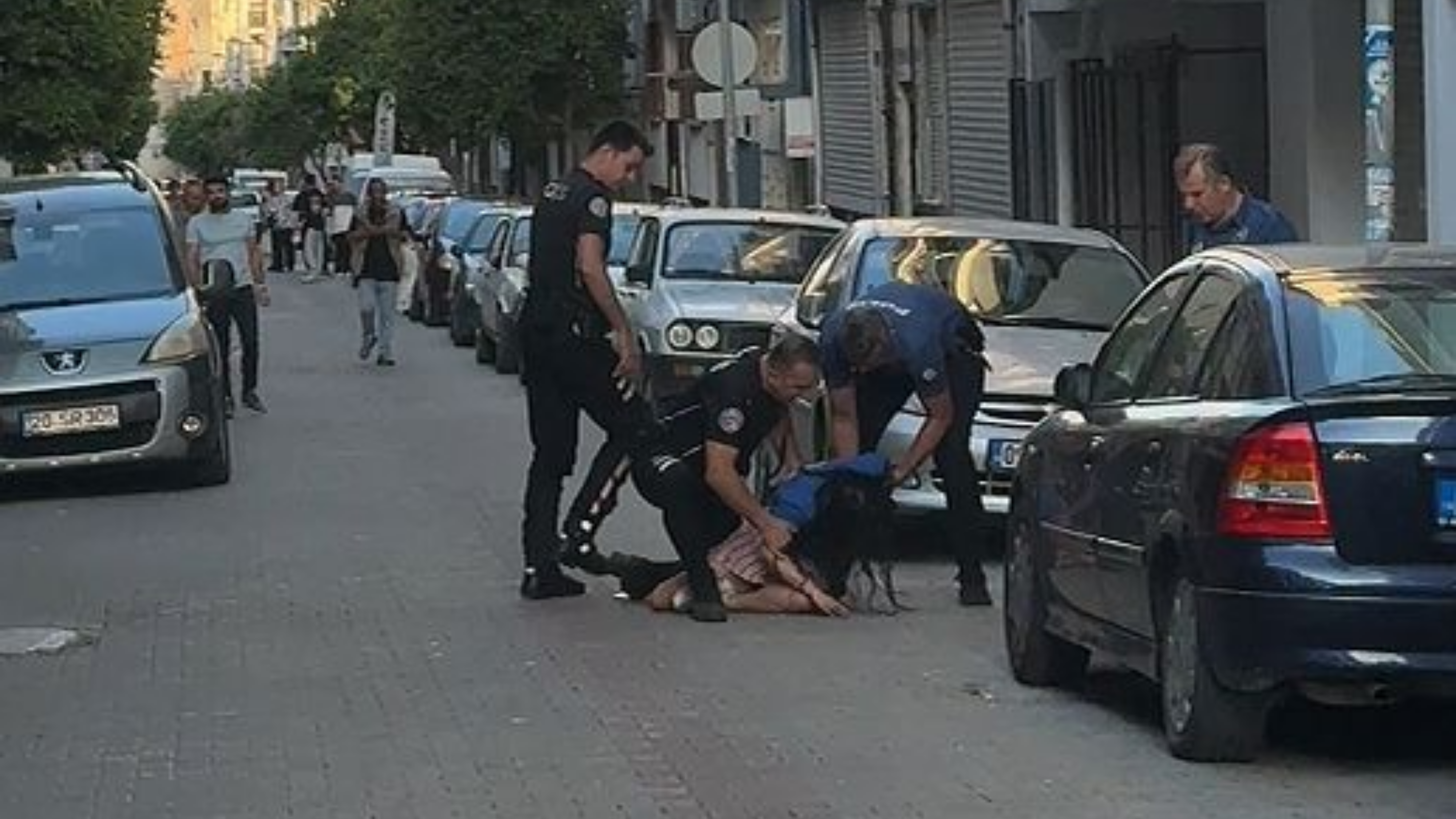 Aydında Kılıçlı Genç Kız