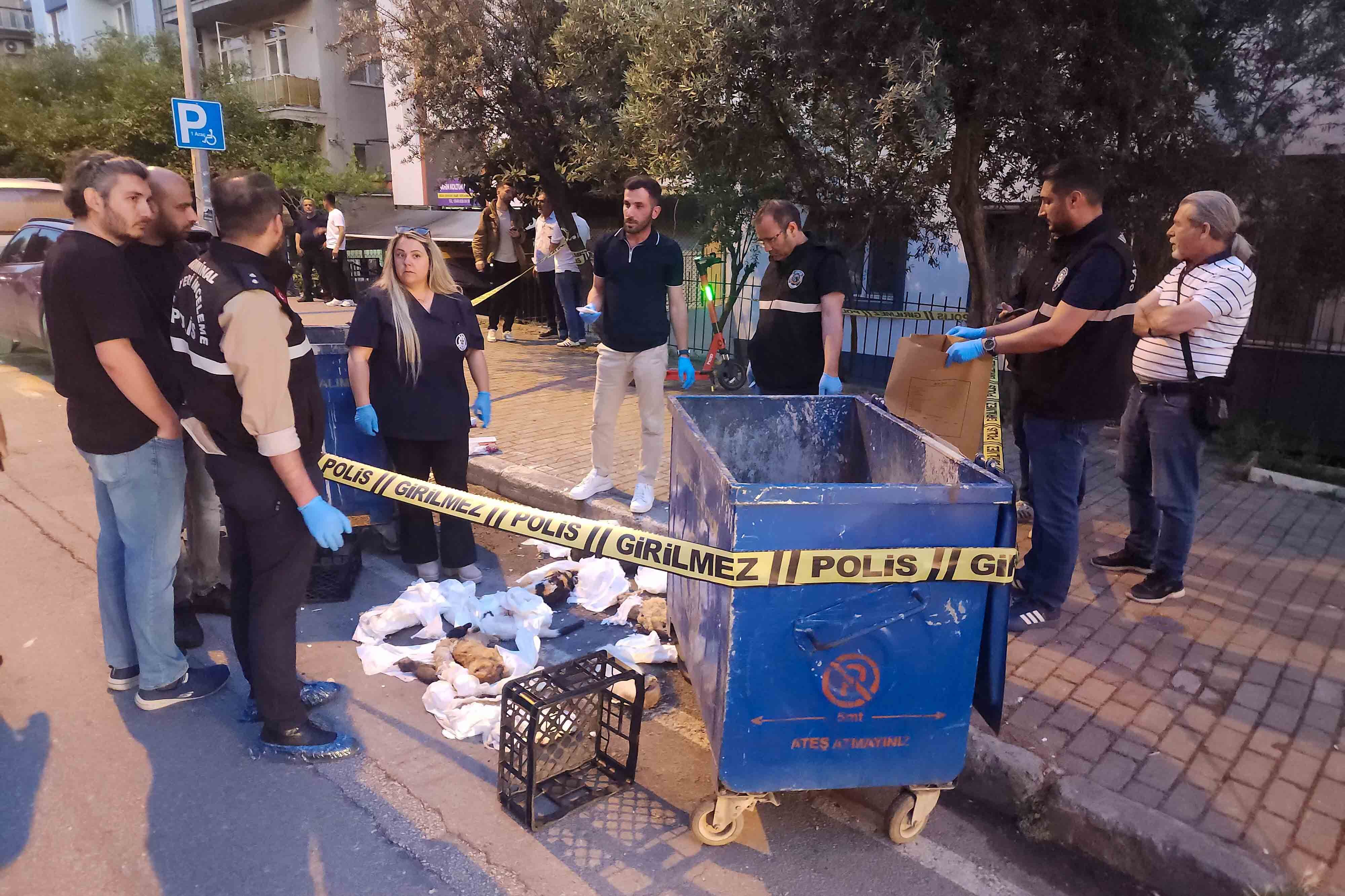 Buca Belediyesi'nden insanlık dışı olaya hızlı müdahale