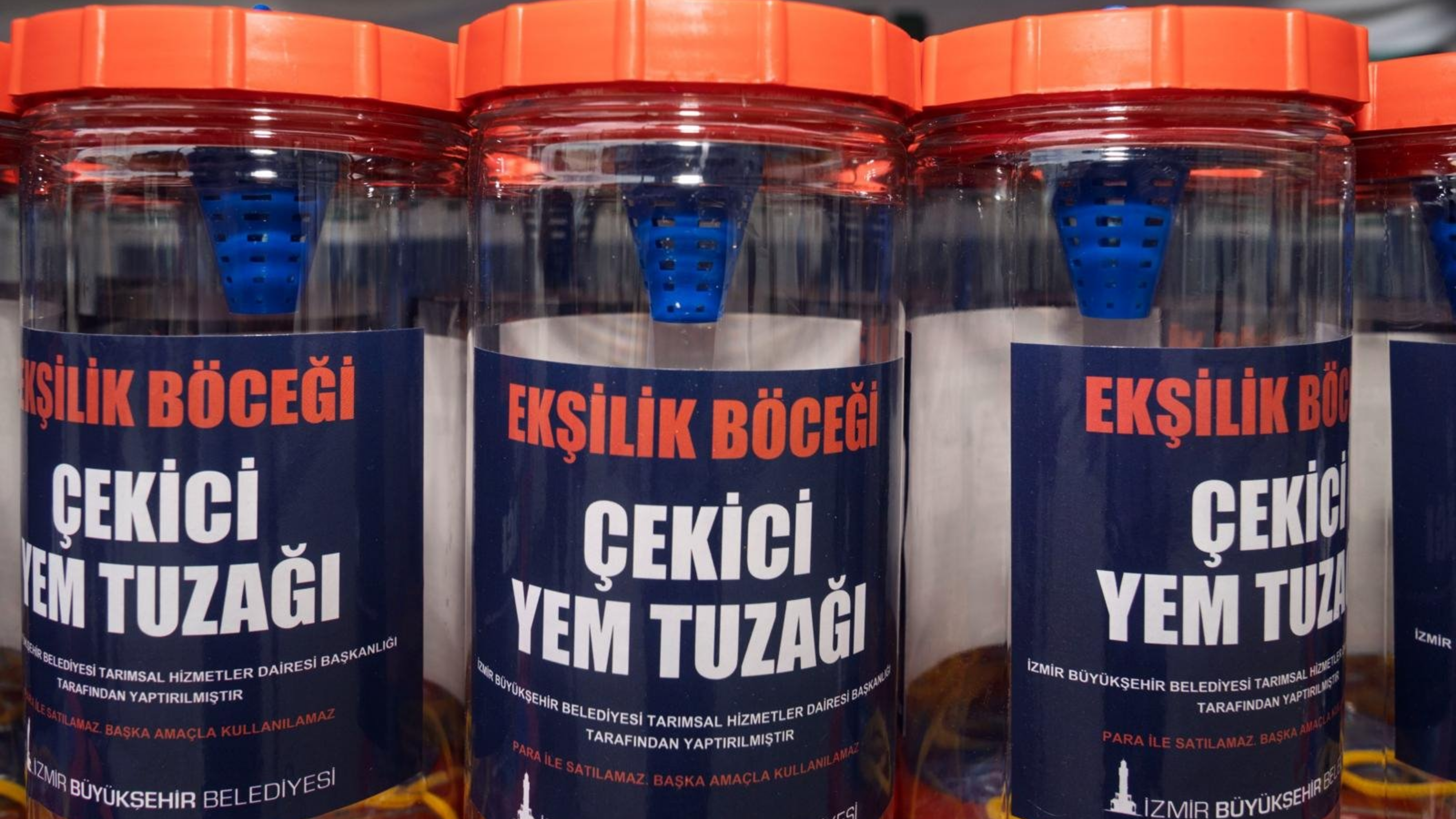 Ekşilik Böceği Yem Tuzağı