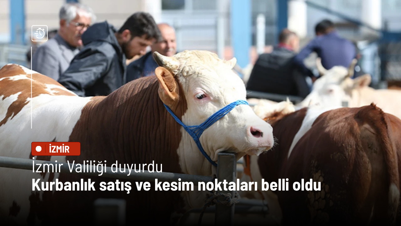 İzmir Valiliği duyurdu: Kurbanlık satış ve kesim noktaları belli oldu