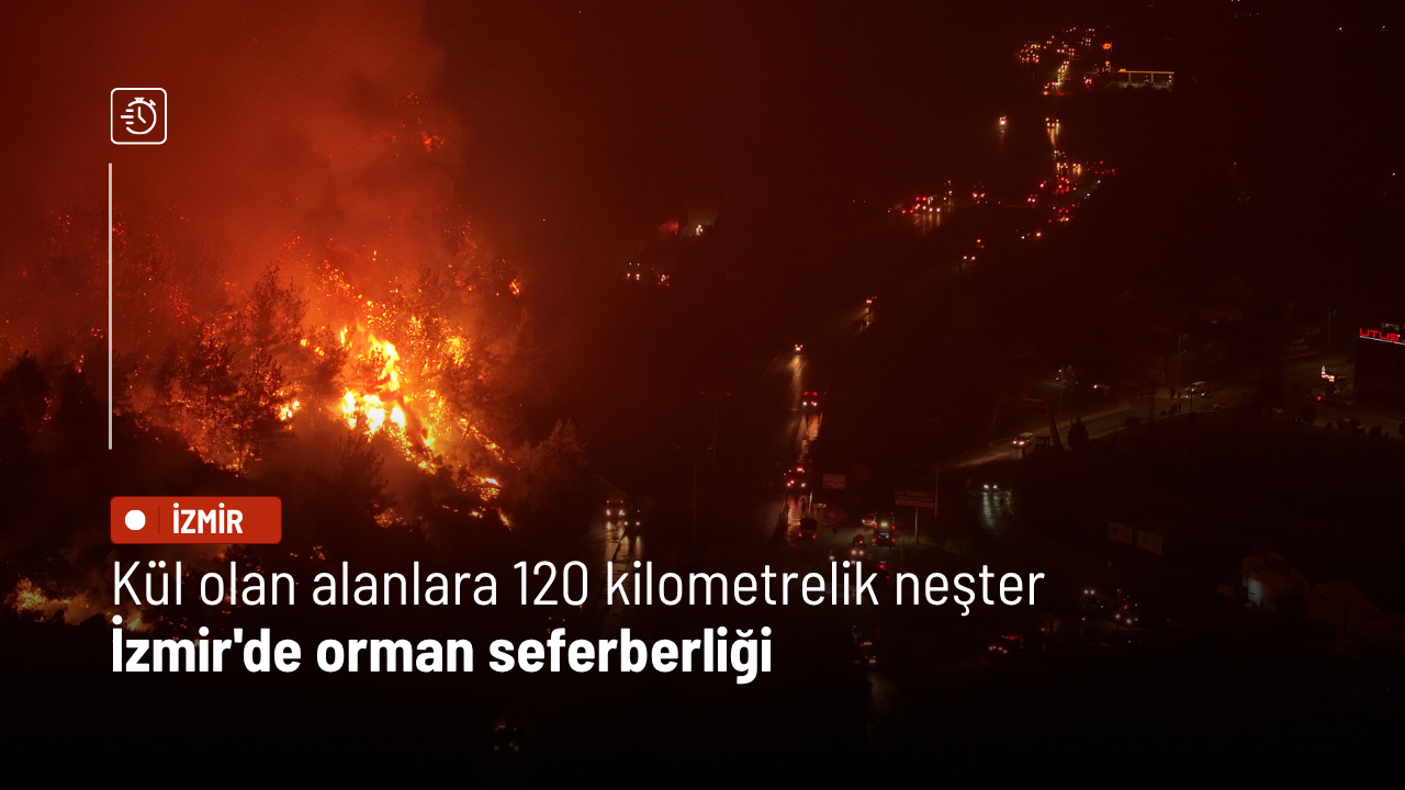 Kül olan alanlara 120 kilometrelik neşter: İzmir'de orman seferberliği