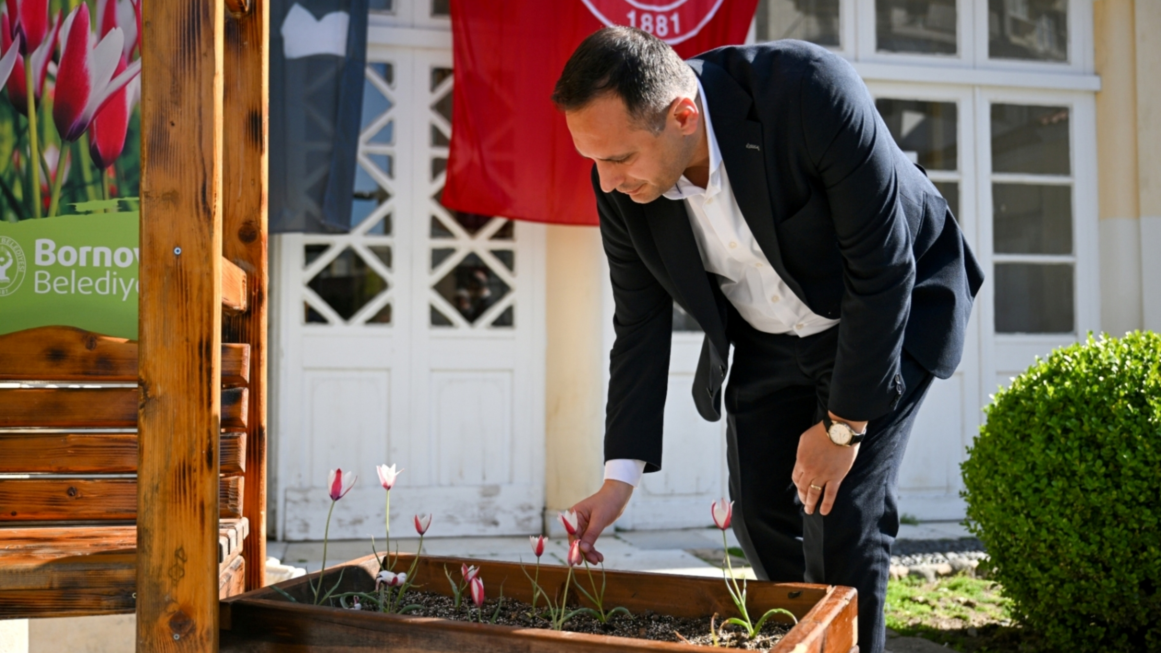 Nesli Tükendiği Düşünülen Bornova Lalesi 30 Yıl Sonra Yeniden Çiçek Açtı