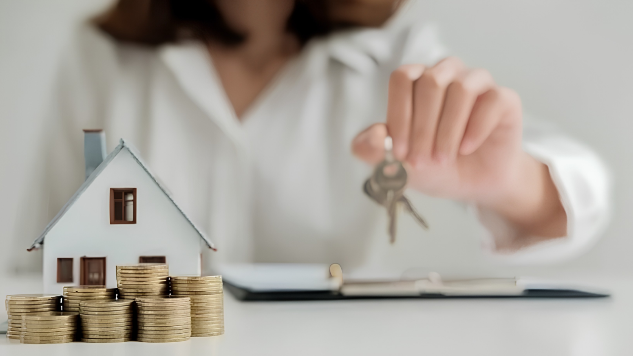 Tapu rengi ne anlama geliyor: Kahverengi güvence, turkuaz risk mi?