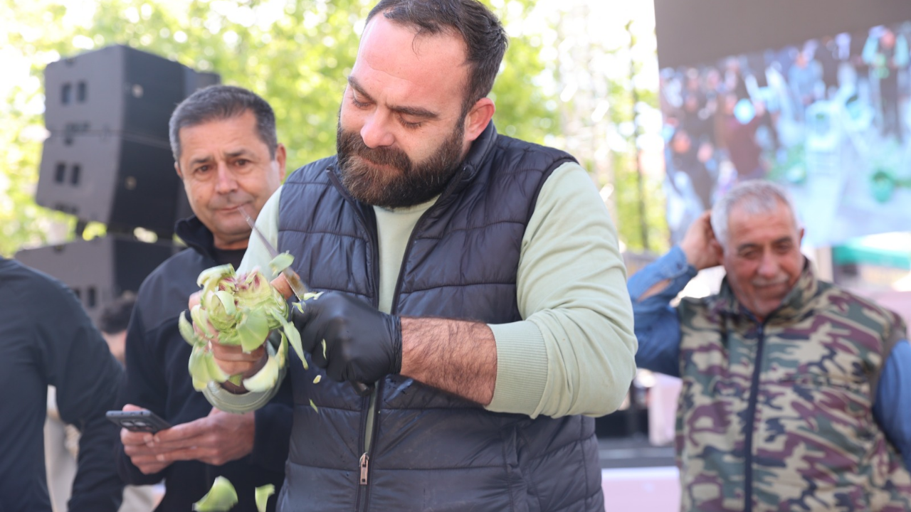 Urla Enginar Soyma Yarışması