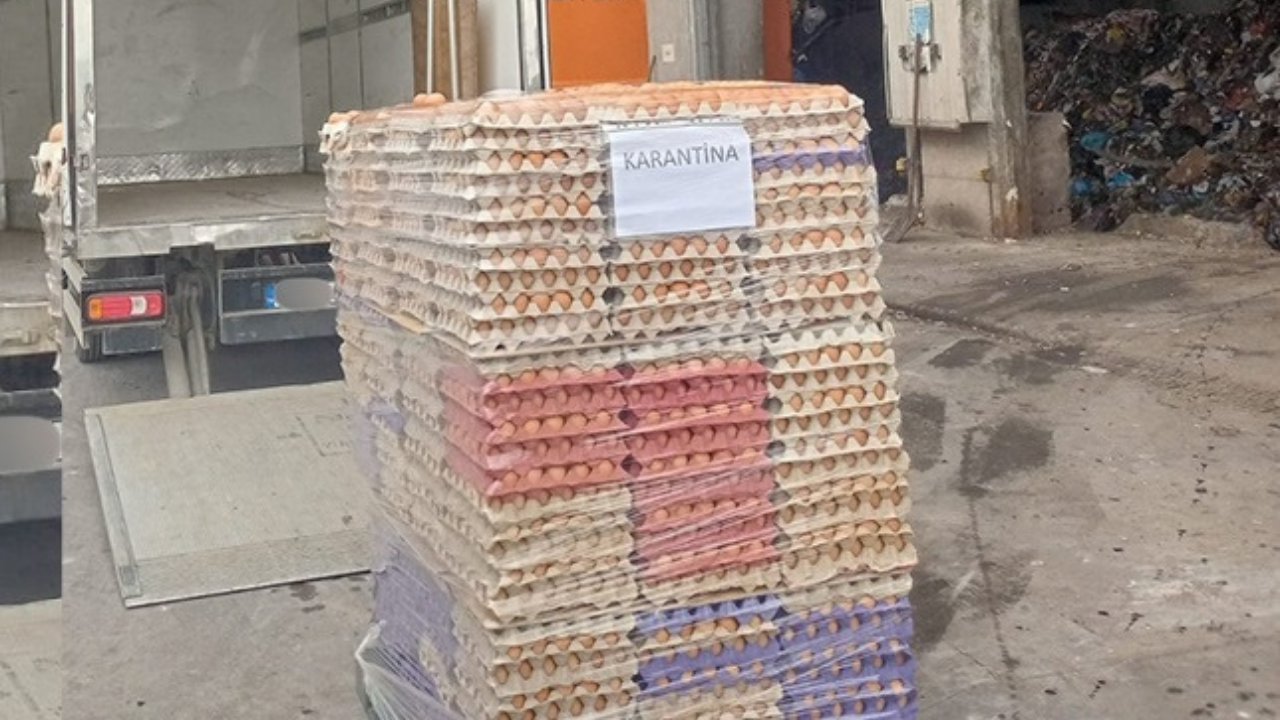 Sahte organik etiket operasyonu: 42 bin yumurta imha edildi