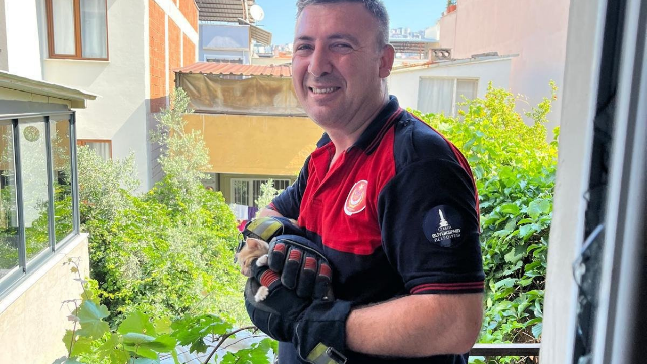 Hayvan Kurtarm